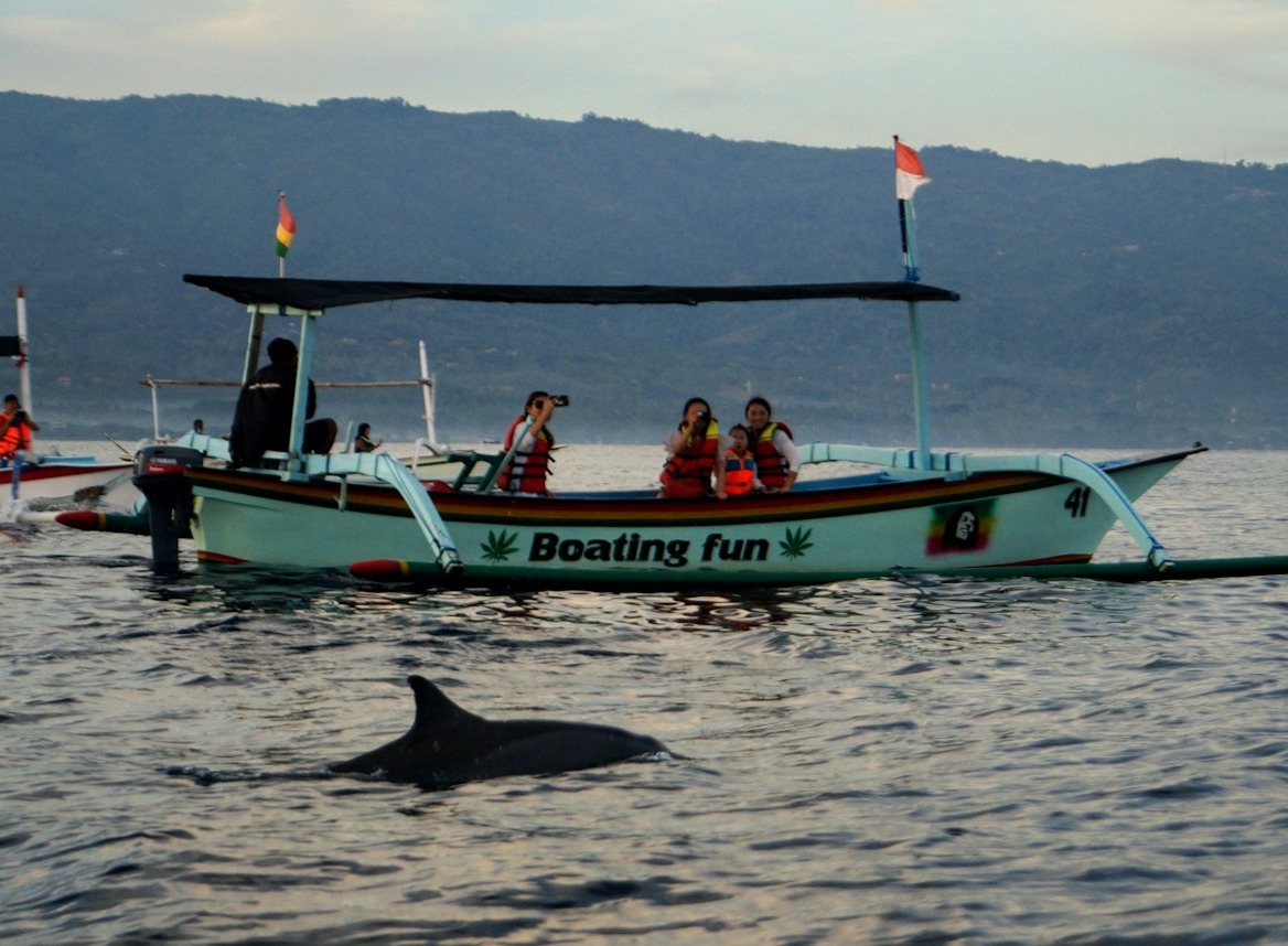 lovina dewata transport